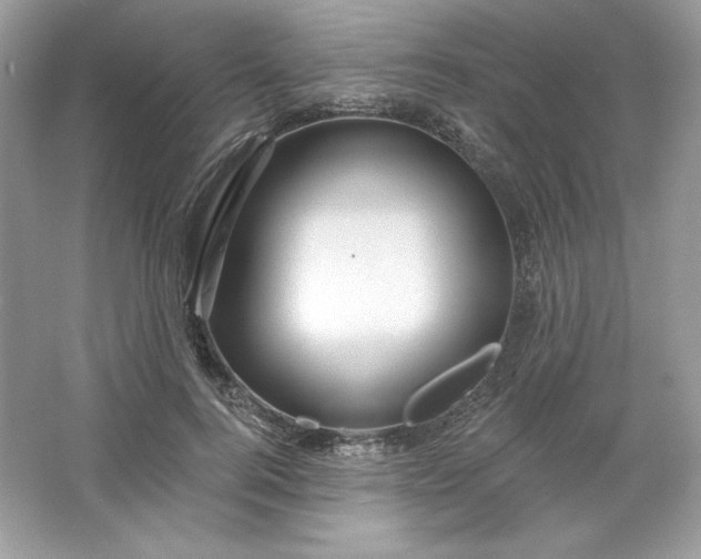 X0000066010744200603171505