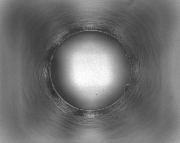 X0000066010746200603171505