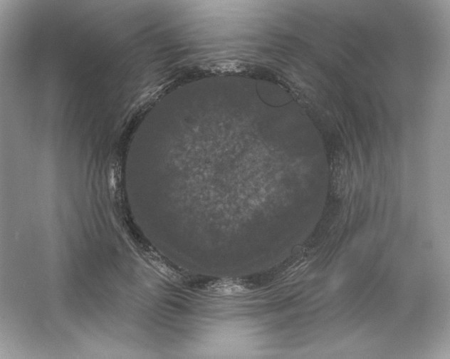 X0000066010747200603171505