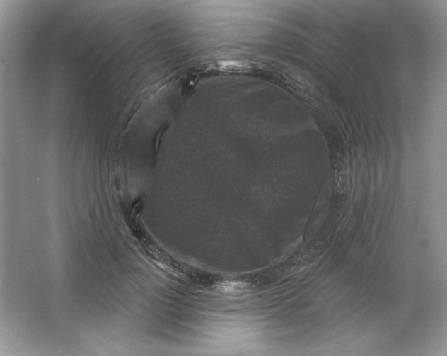 X0000066010748200603171505