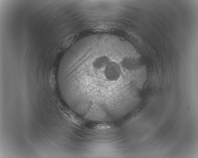 X0000066010749200603171505