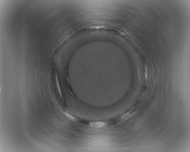 X0000066010750200603171505