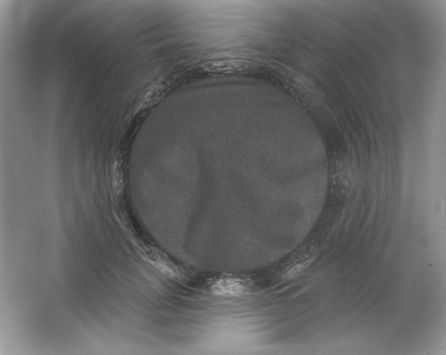 X0000066010751200603171505