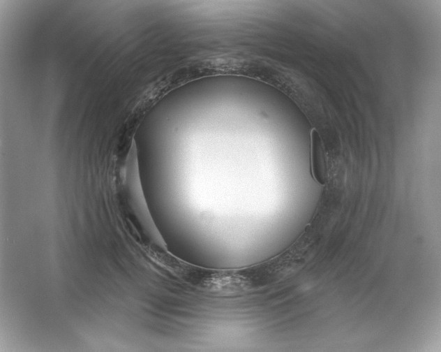 X0000066010752200603171505