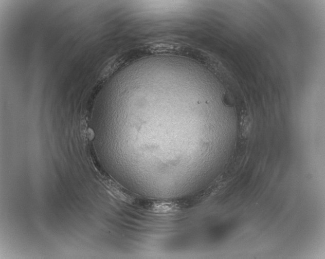 X0000066010753200603171505