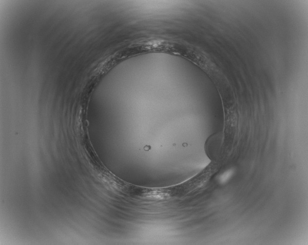 X0000066010754200603171505