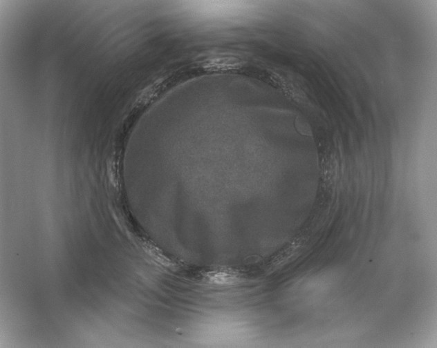 X0000066010755200603171505