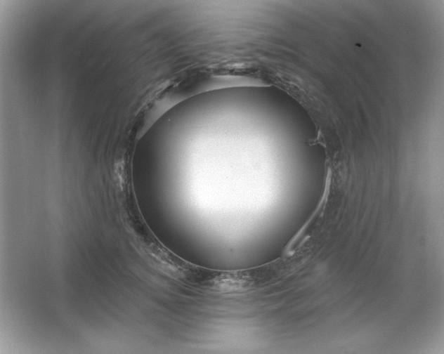 X0000066010756200603171505