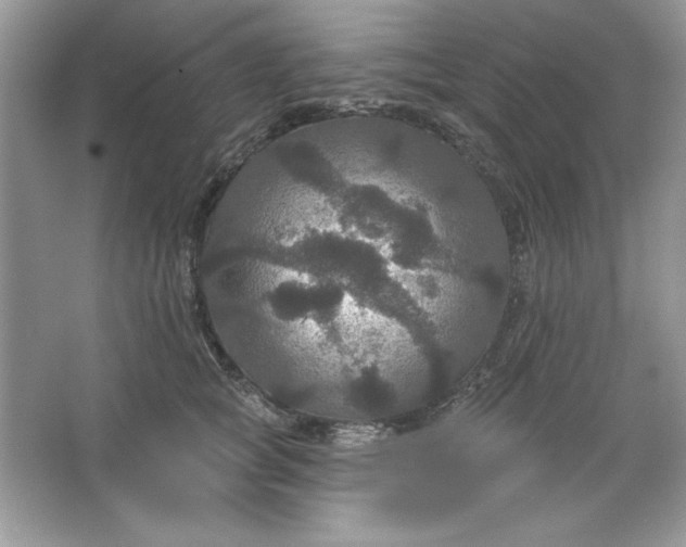 X0000066010757200603171505