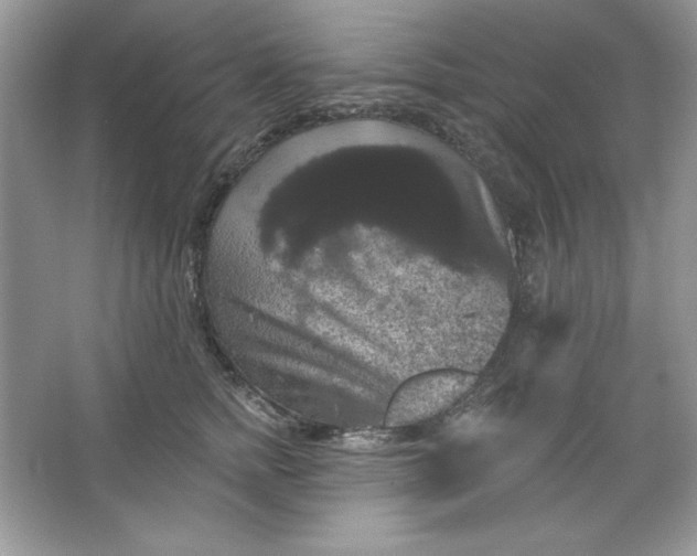 X0000066010758200603171505