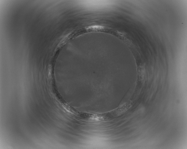 X0000066010760200603171505