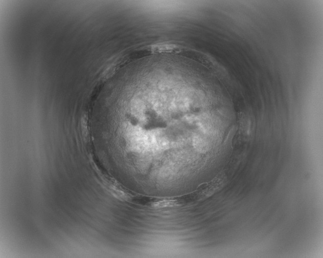 X0000066010761200603171506