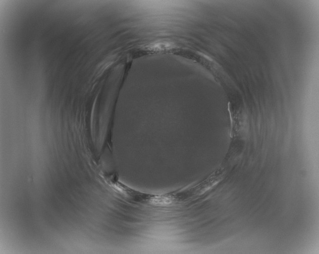 X0000066010762200603171506