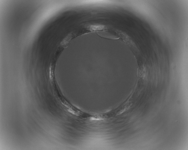 X0000066010763200603171506