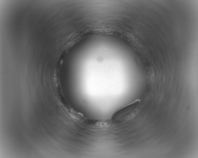 X0000066010764200603171506