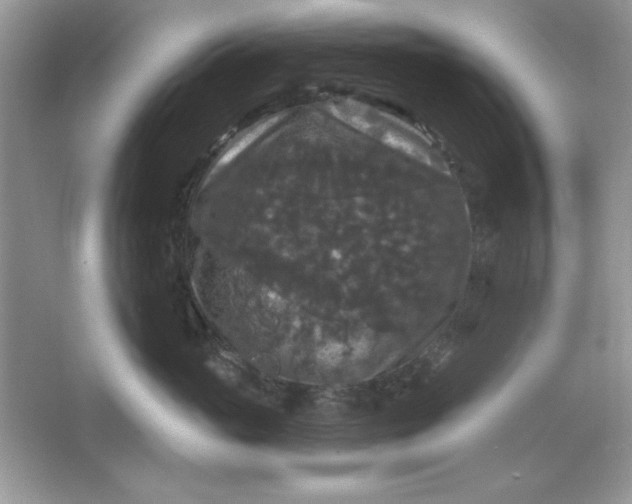 X0000066010765200603171506