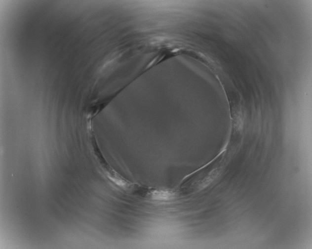 X0000066010766200603171506