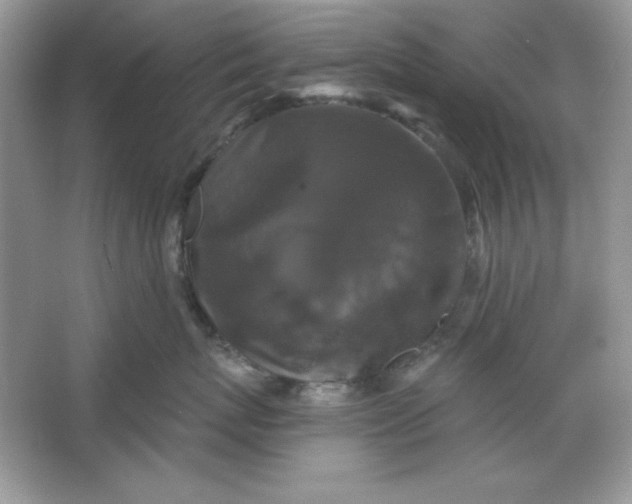 X0000066010767200603171506