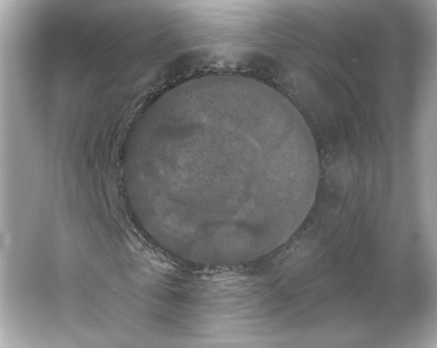 X0000066010769200603171505