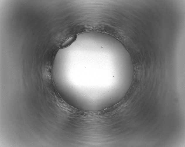 X0000066010770200603171505