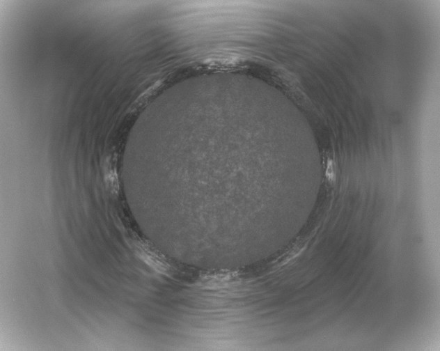 X0000066010771200603171505