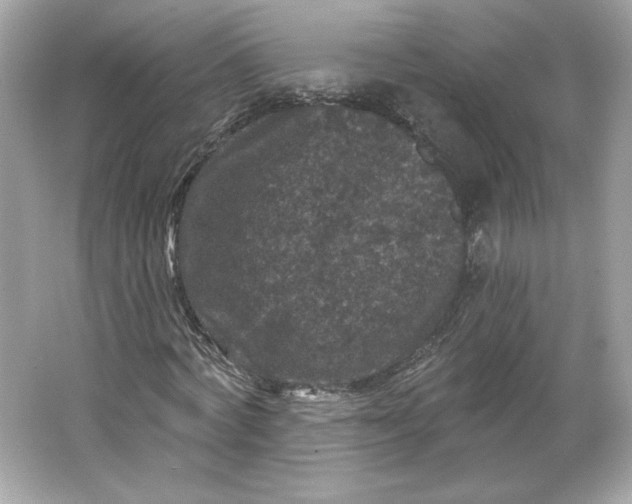 X0000066010772200603171505