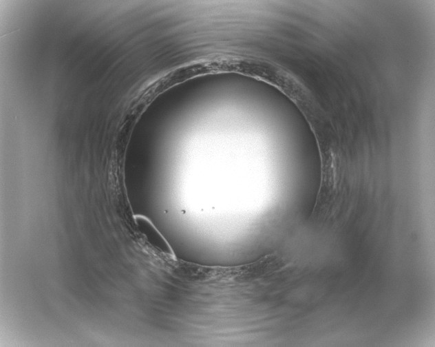 X0000066010773200603171505