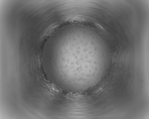 X0000066010774200603171505