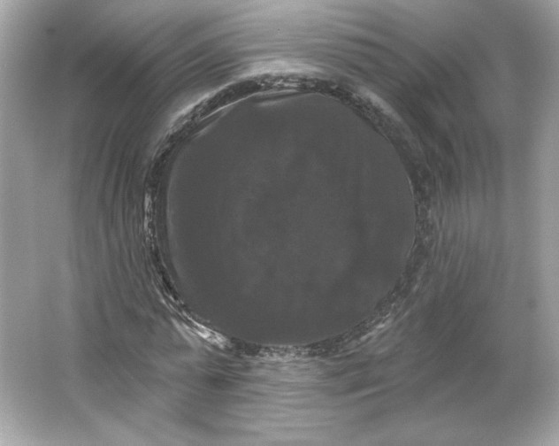 X0000066010775200603171505