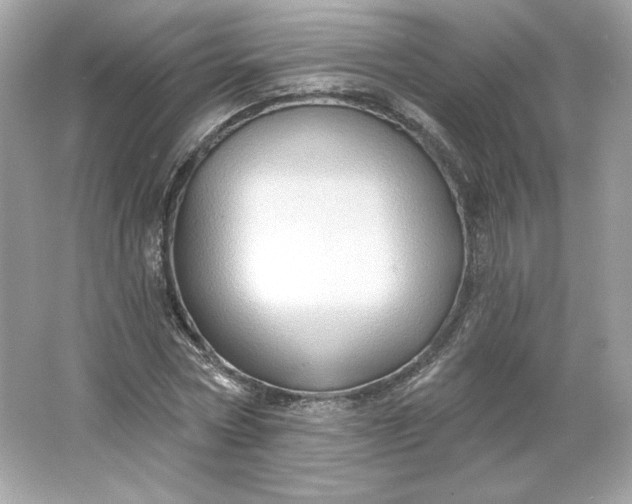 X0000066010778200603171505