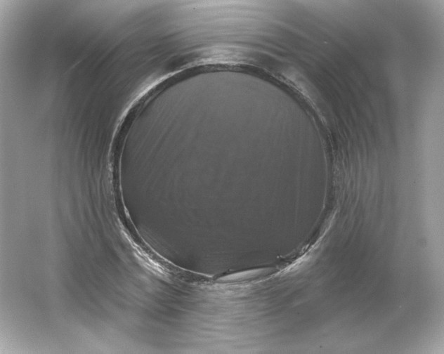 X0000066010779200603171505