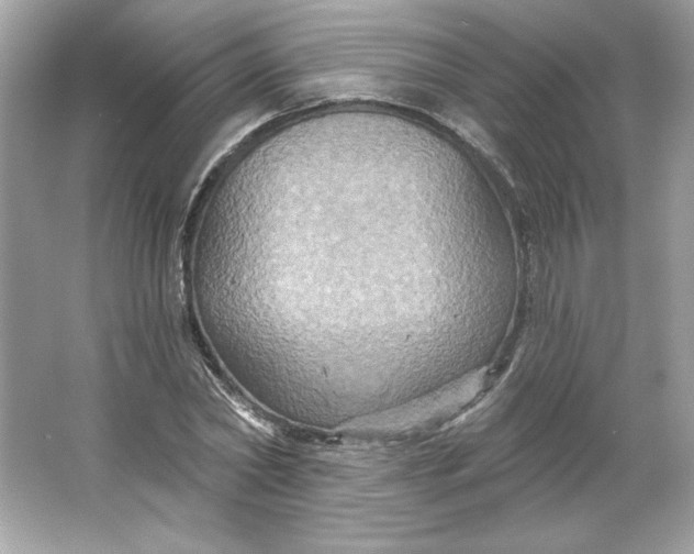 X0000066010782200603171505