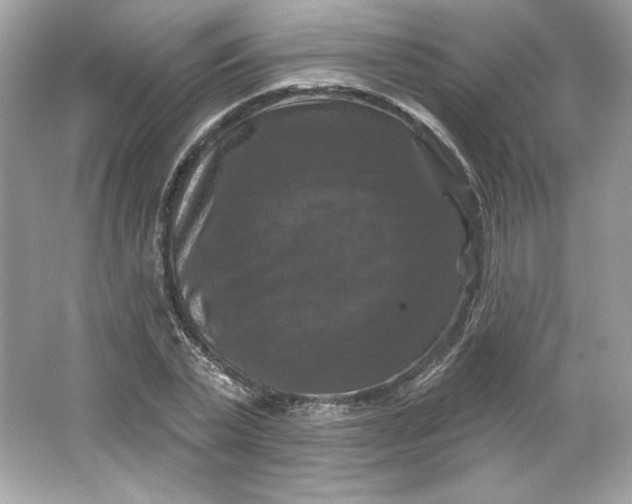 X0000066010783200603171505