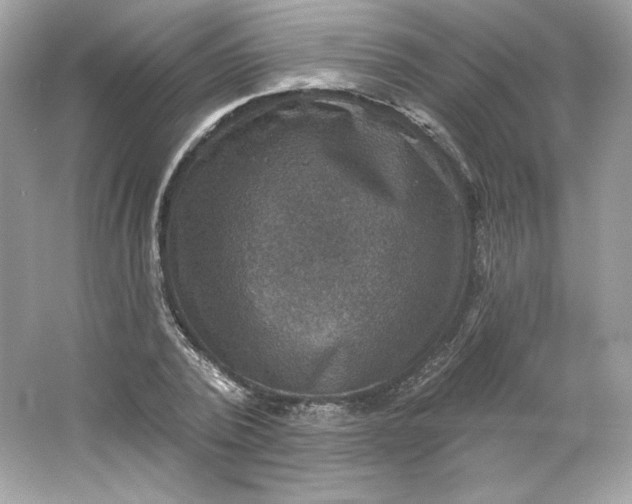 X0000066010784200603171505