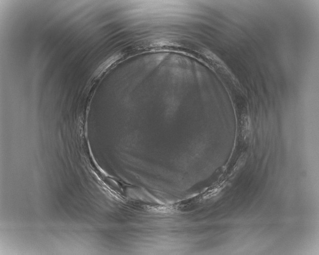 X0000066010785200603171505