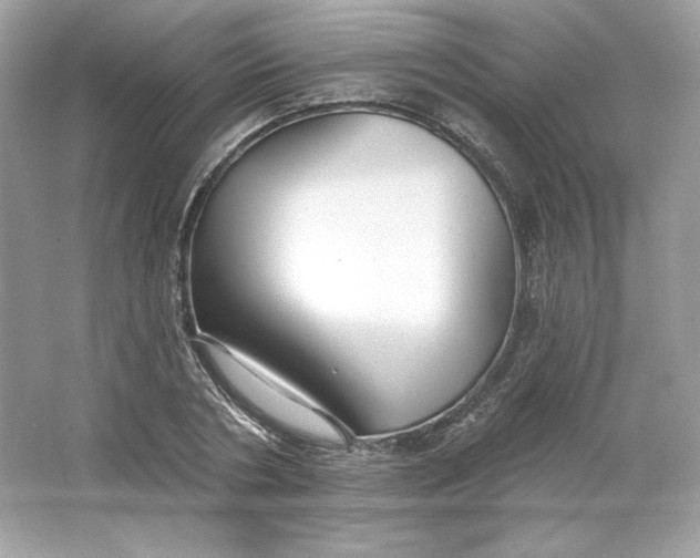 X0000066010786200603171505