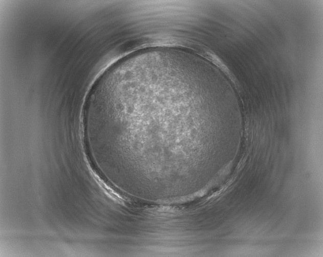 X0000066010787200603171505