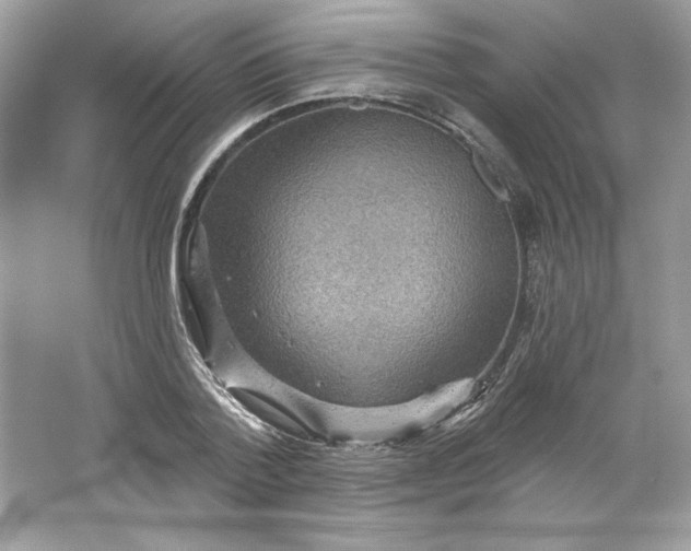 X0000066010788200603171504