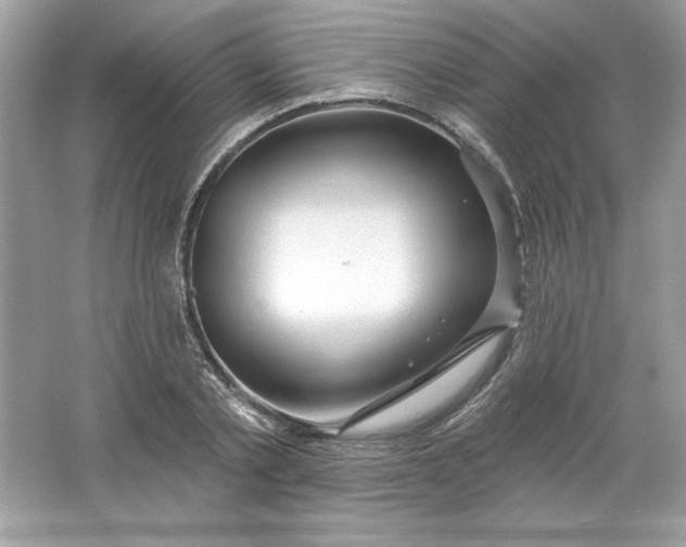 X0000066010789200603171504