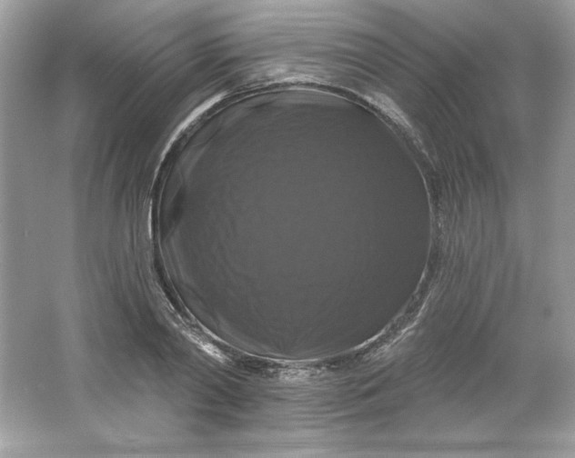 X0000066010790200603171504