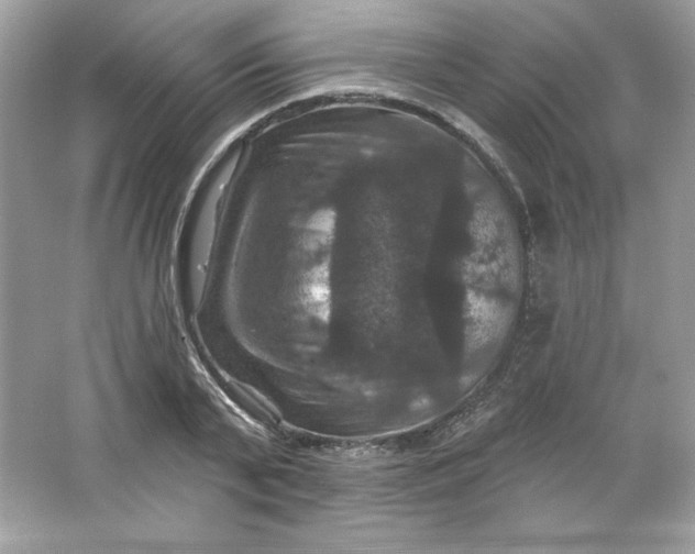 X0000066010791200603171504