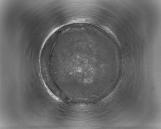 X0000066010792200603171504