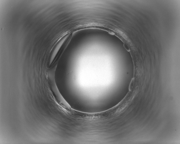 X0000066010793200603171504