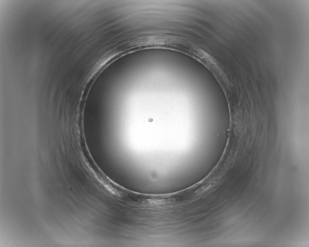 X0000066010794200603171504