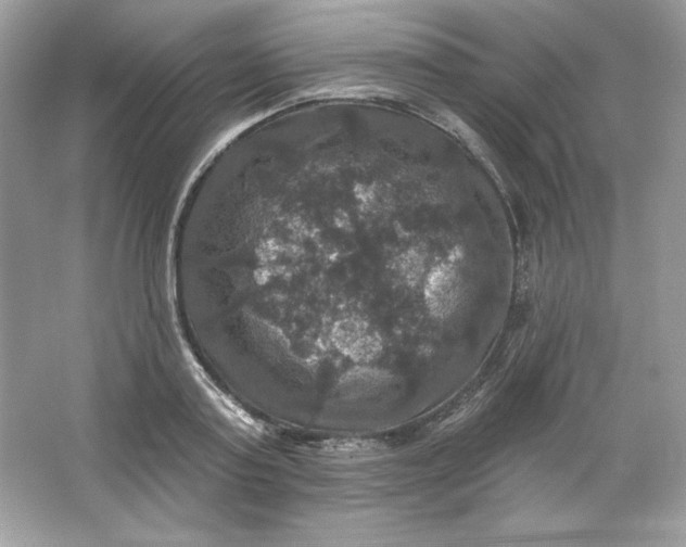 X0000066010795200603171504