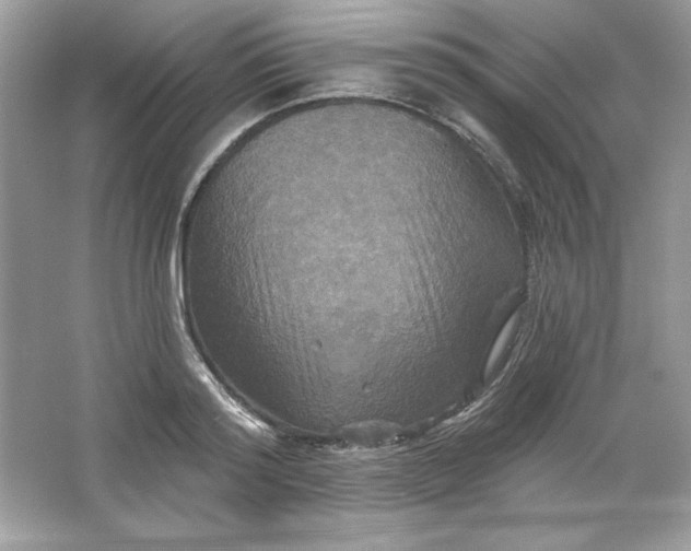 X0000066010796200603171504