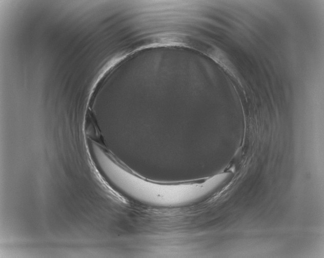 X0000066010797200603171504