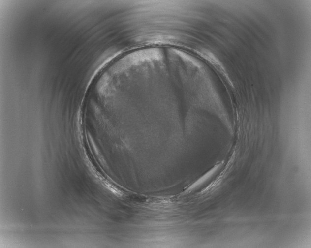 X0000066010798200603171504