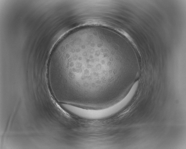 X0000066010799200603171504