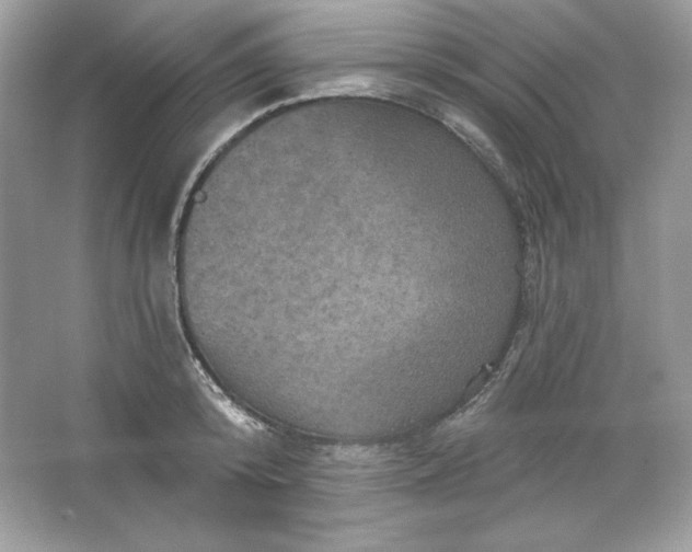 X0000066010800200603171504